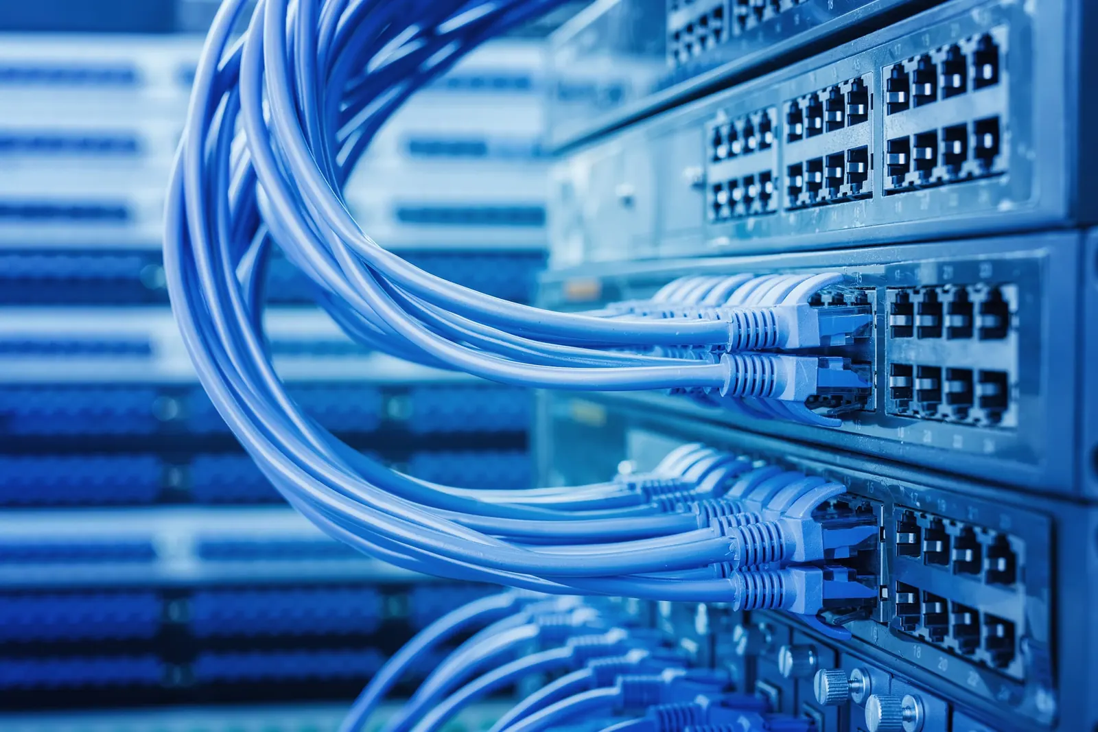 Netzwerkverteiler mit blauen Patchkabeln in einem Serverraum